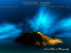 GALLINARA ISLAND 8629b - ph Enrico Pelos