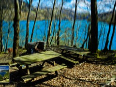 05 Passeggiata al Lago del Brugneto - 0873 - ph Enrico Pelos