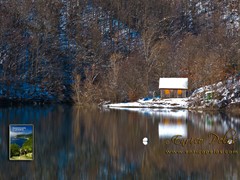 06 Passeggiata al Lago del Brugneto - 1417 - ph Enrico Pelos