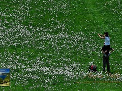 12 Passeggiata al Pian della Cavalla - 7202 - ph Enrico Pelos
