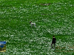 13 Passeggiata al Pian della Cavalla - 7211 - ph Enrico Pelos