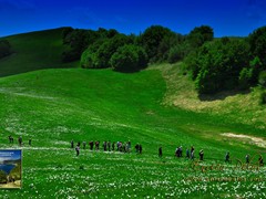 14 Passeggiata al Pian della Cavalla - 7262 - ph Enrico Pelos