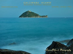 GALLINARA ISLAND 1423 - ph Enrico Pelos