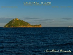 GALLINARA ISLAND 8039 - ph Enrico Pelos