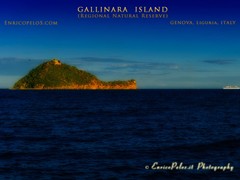 GALLINARA ISLAND 8039b - ph Enrico Pelos