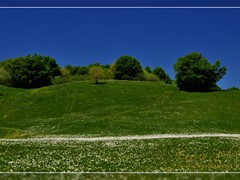 pian della cavalla - fioritura dei narcisi - ph enrico pelos