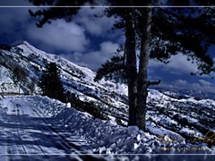 torriglia - strada innevata per pentema - ph enrico pelos